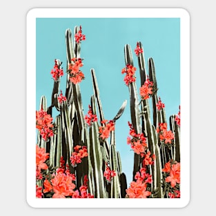 Cacti, Orange coral flowers, Modern art, Wall art, Print Sticker